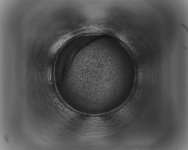 X0000100961455200806241516
