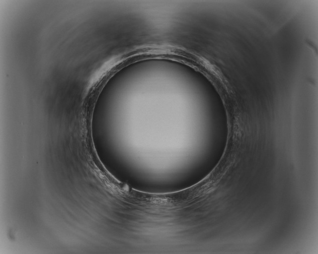 X0000100961456200806241516