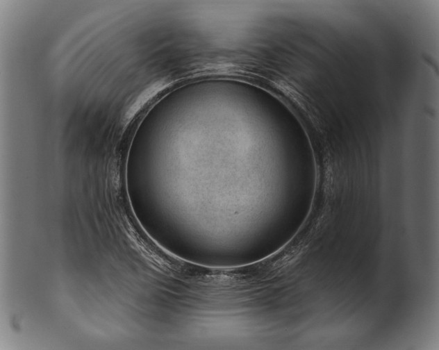 X0000100961458200806241516