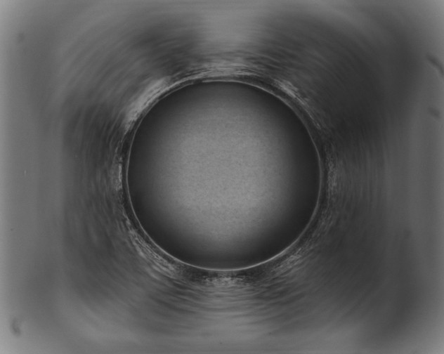 X0000100961459200806241516