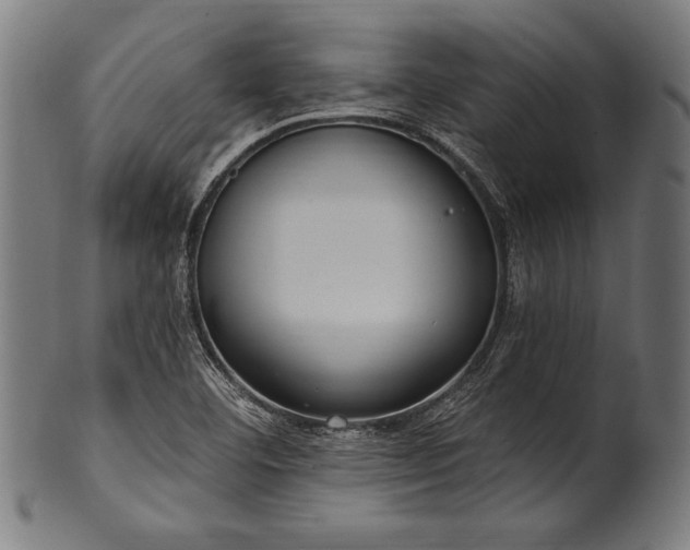 X0000100961460200806241516