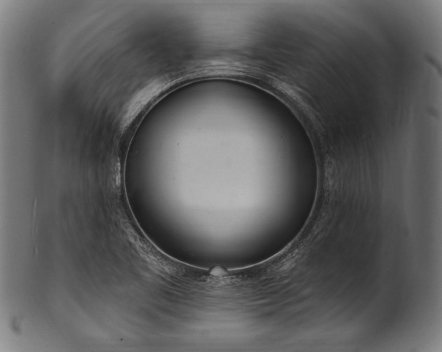 X0000100961461200806241516