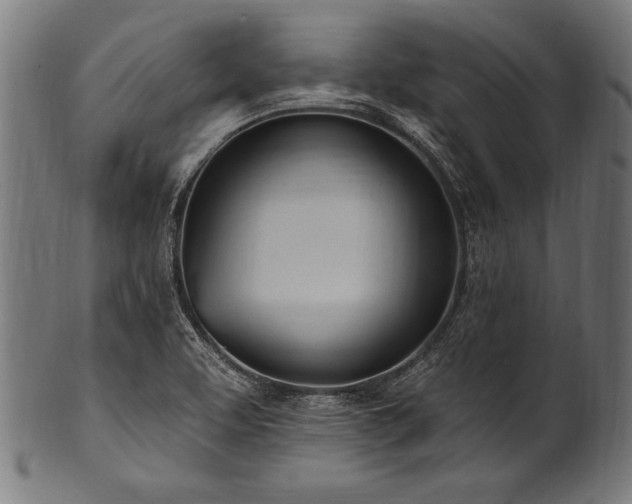 X0000100961463200806241516