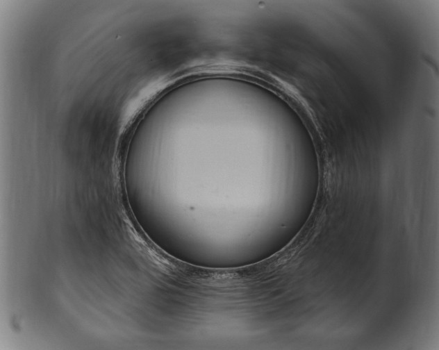 X0000100961464200806241516