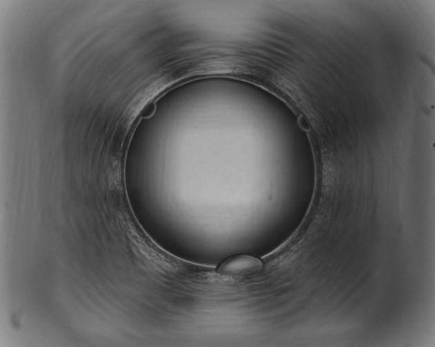X0000100961465200806241516