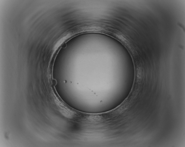 X0000100961466200806241516