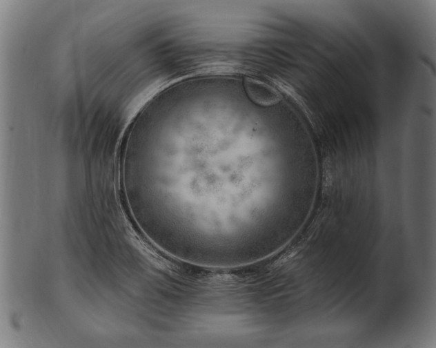 X0000100961467200806241516