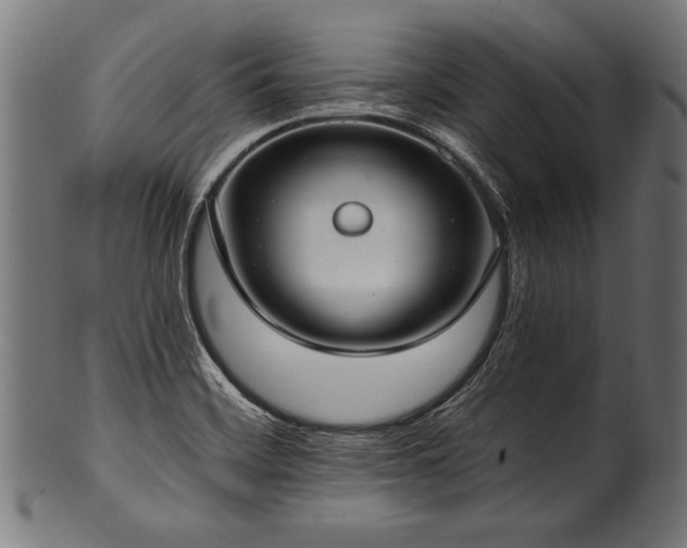 X0000100961468200806241516