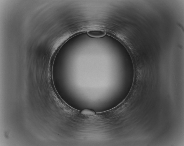 X0000100961469200806241516