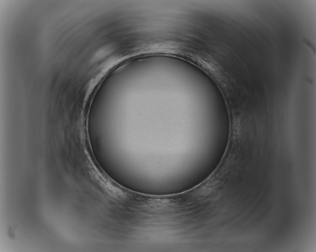 X0000100961470200806241516