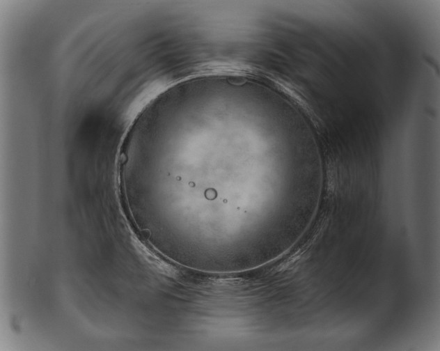 X0000100961471200806241516