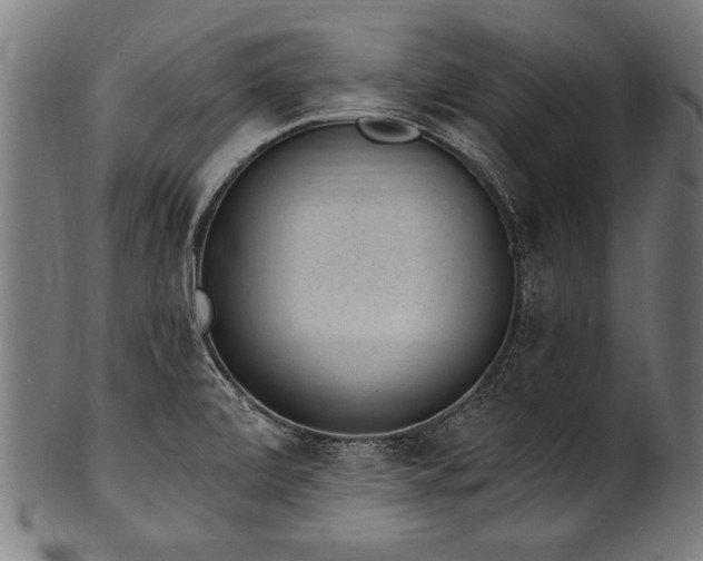 X0000100961472200806241516