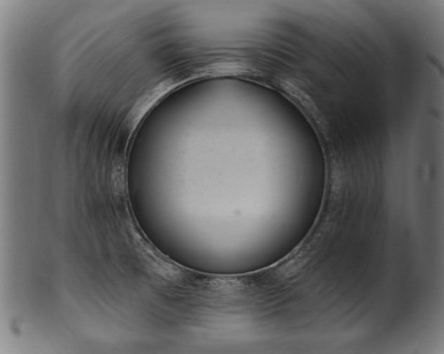 X0000100961473200806241516