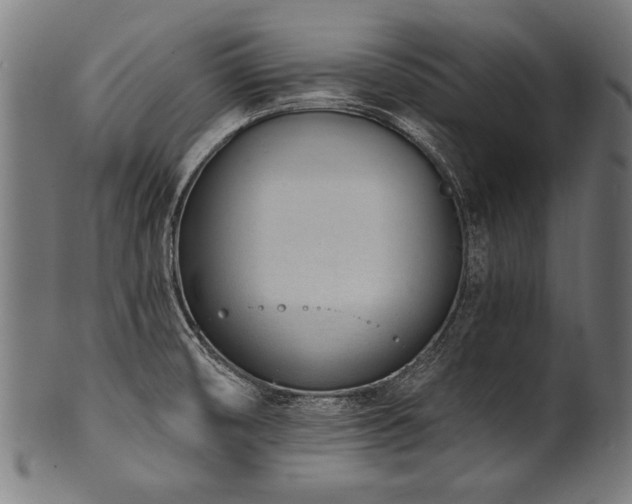 X0000100961474200806241515