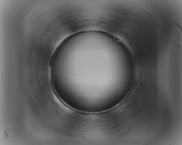 X0000100961476200806241515