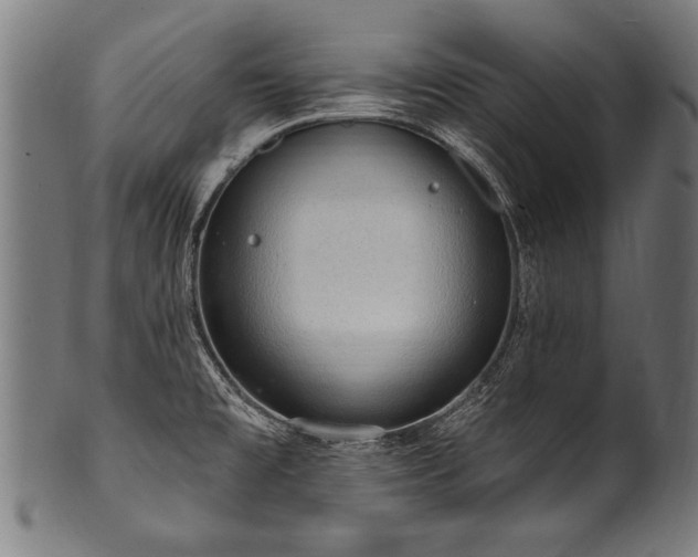 X0000100961477200806241515