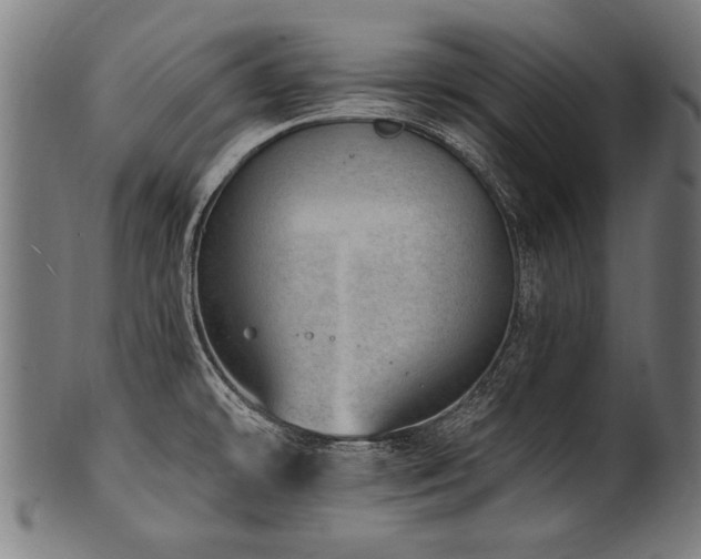 X0000100961478200806241515