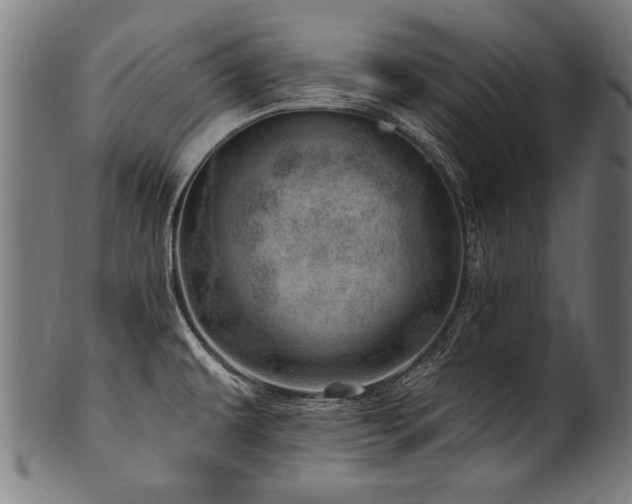 X0000100961479200806241515
