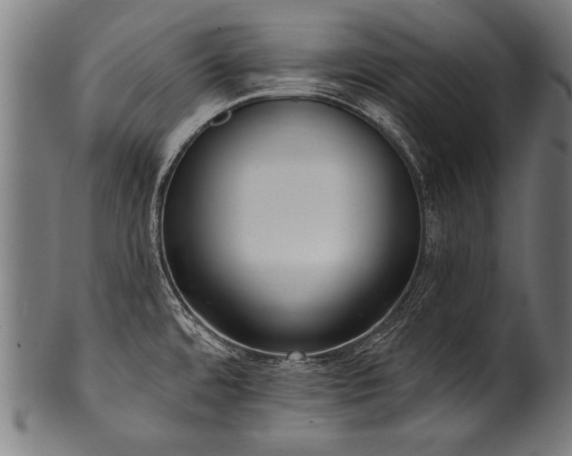X0000100961480200806241515