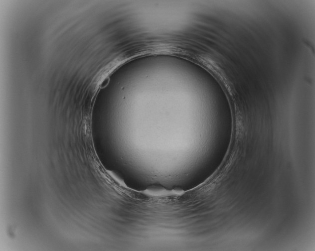 X0000100961481200806241515