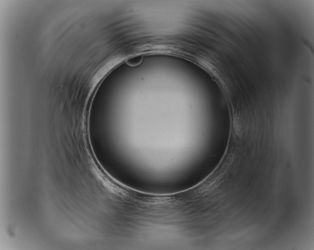 X0000100961482200806241515
