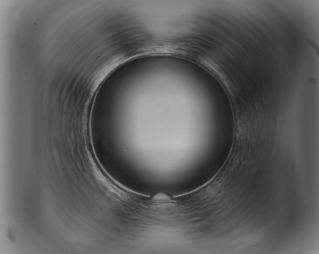 X0000100961483200806241515