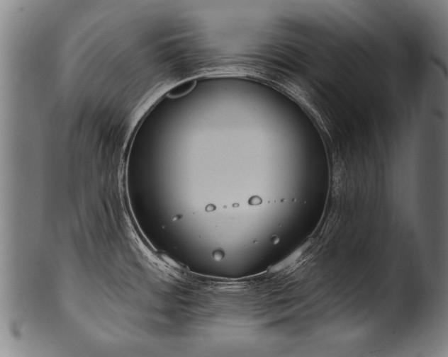 X0000100961484200806241515