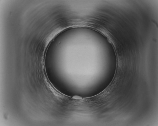 X0000100961485200806241515