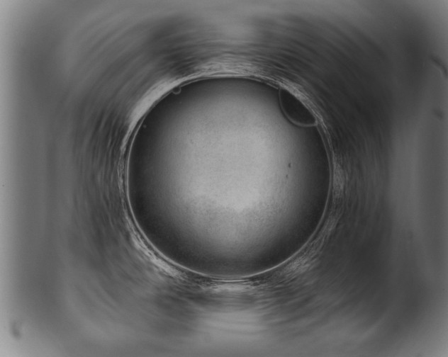 X0000100961486200806241515