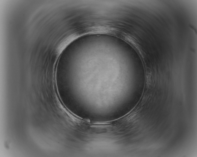 X0000100961487200806241515