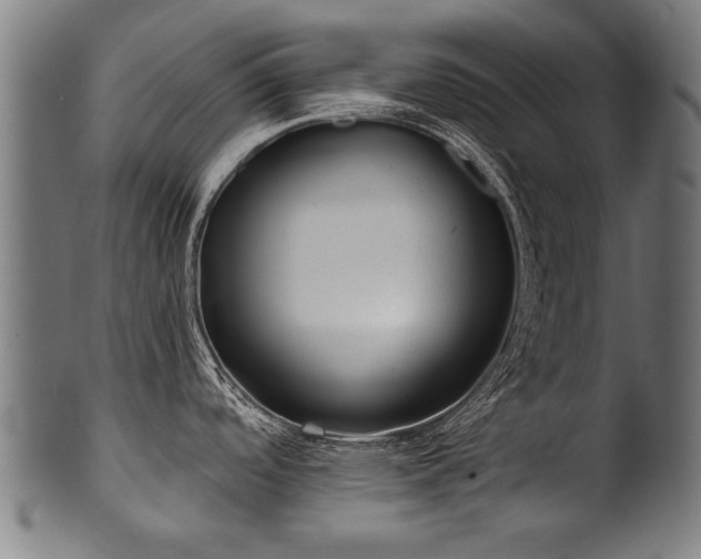 X0000100961488200806241515