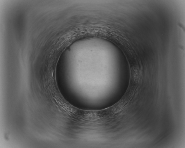 X0000100961489200806241514
