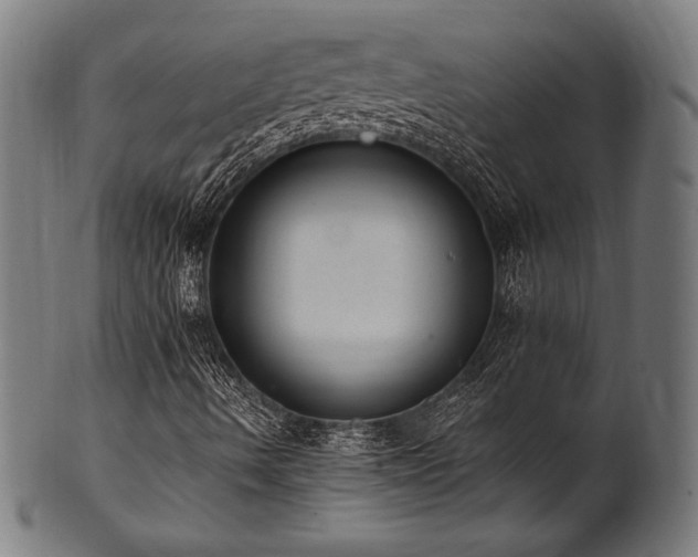 X0000100961490200806241514