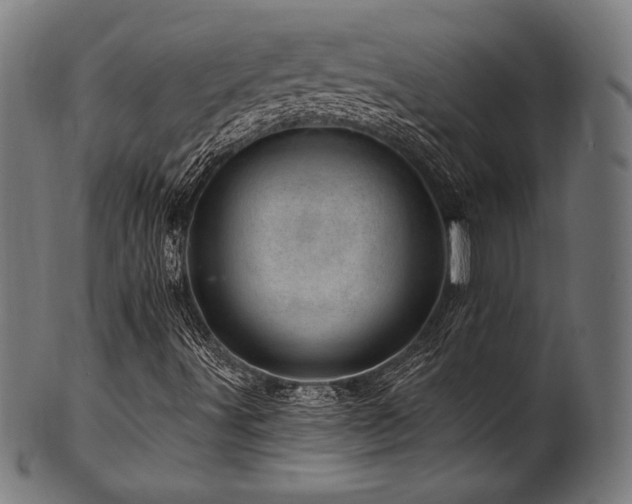 X0000100961491200806241514