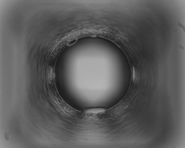 X0000100961492200806241514