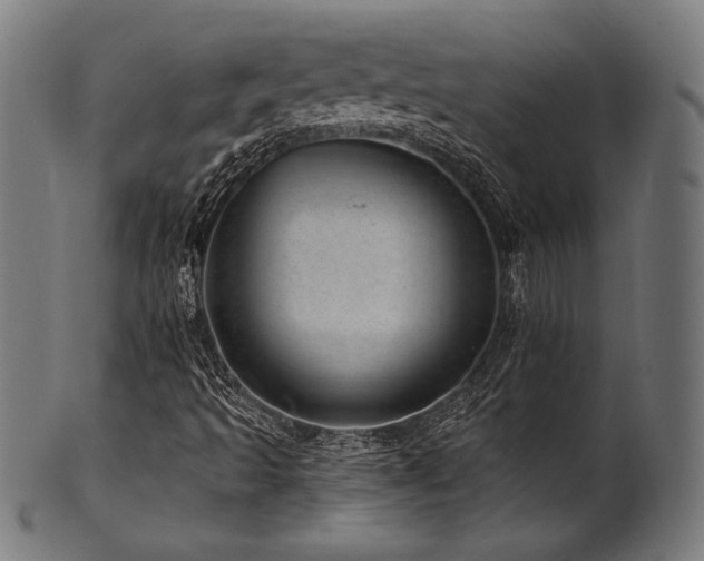 X0000100961493200806241514