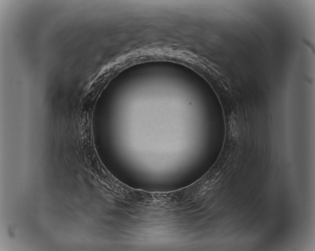 X0000100961494200806241514
