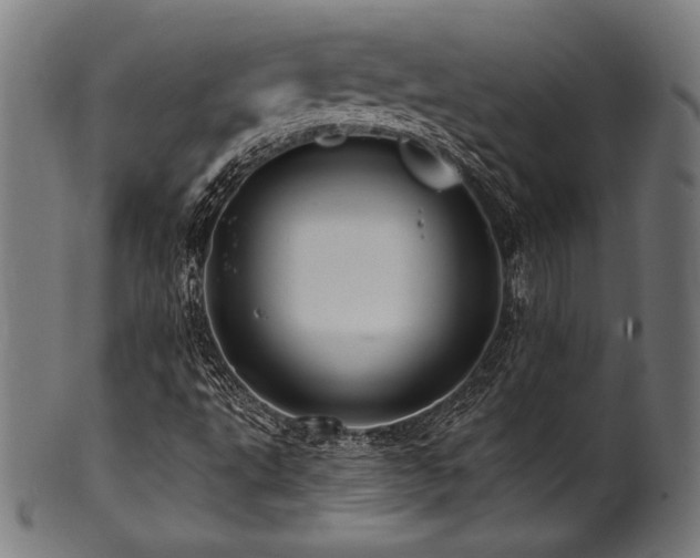 X0000100961495200806241515