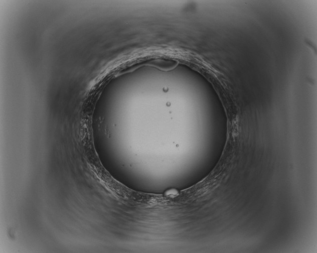 X0000100961496200806241515