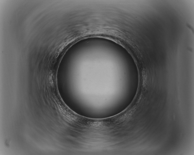 X0000100961497200806241515