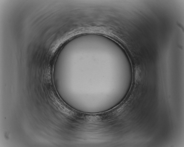 X0000100961498200806241515