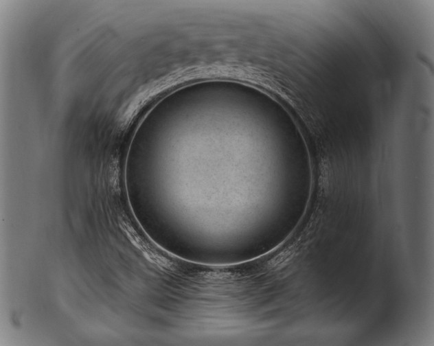 X0000100961499200806241515