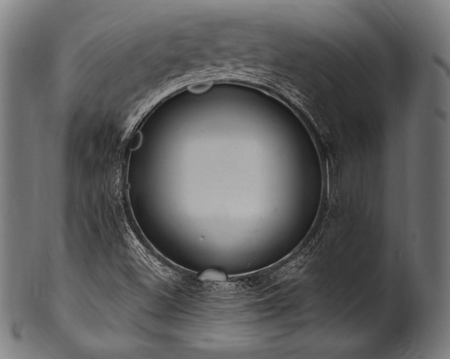 X0000100961500200806241515