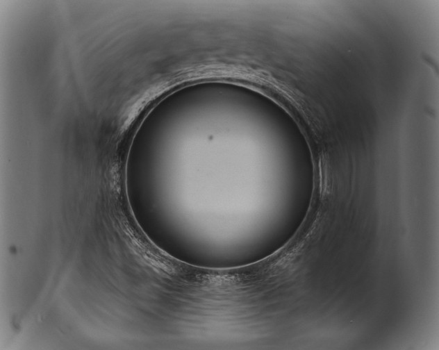 X0000100961501200806241515