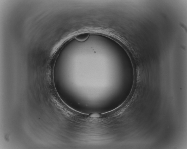 X0000100961502200806241515