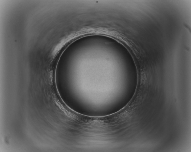 X0000100961503200806241515