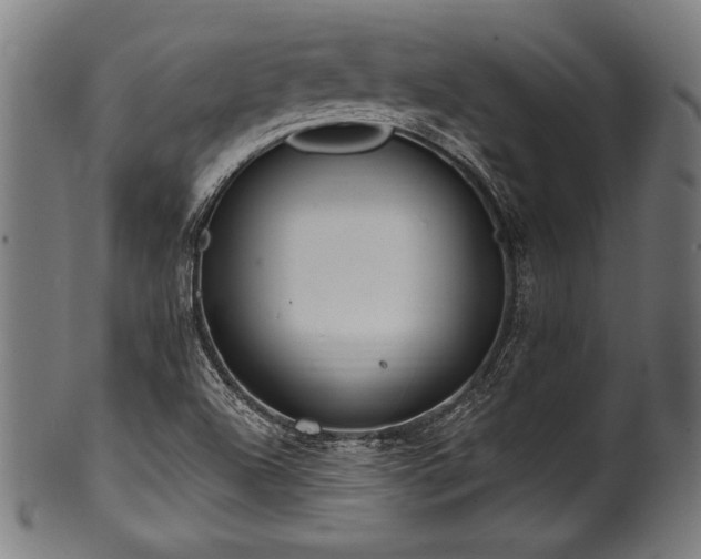 X0000100961504200806241515