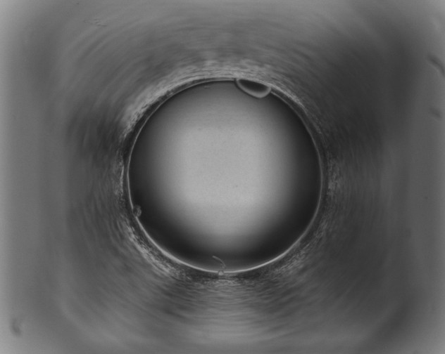X0000100961507200806241515