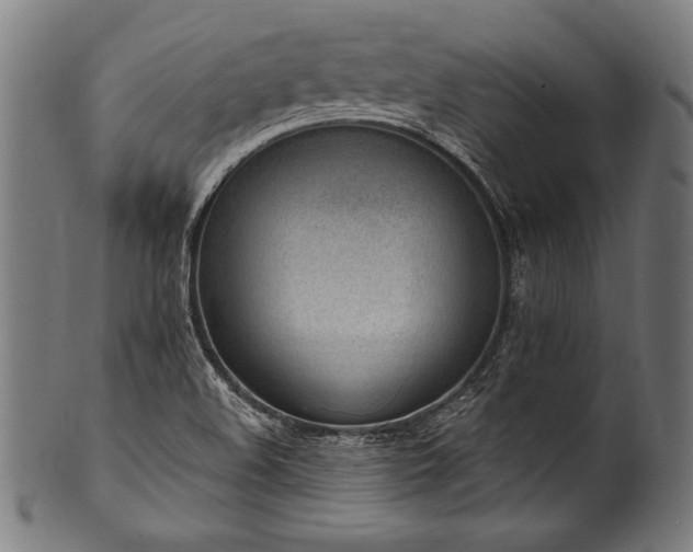 X0000100961508200806241515