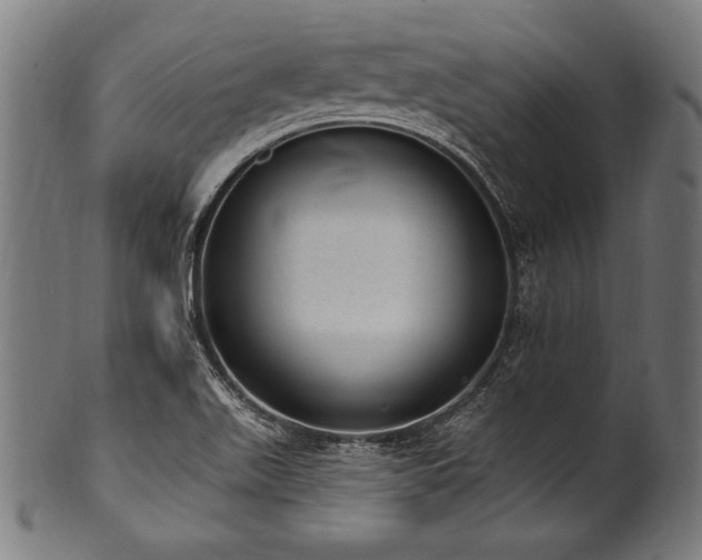 X0000100961511200806241515